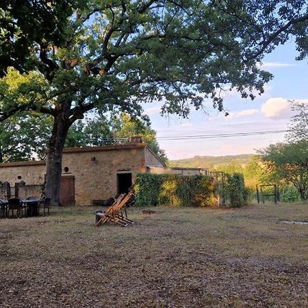 Agriturismo Torrenieri Da Alessandro Pienza Kültér fotó
