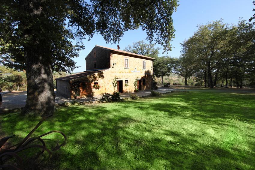 Agriturismo Torrenieri Da Alessandro Pienza Kültér fotó