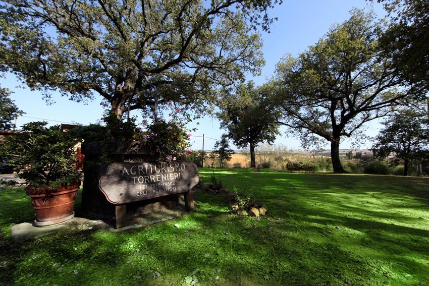 Agriturismo Torrenieri Da Alessandro Pienza Kültér fotó