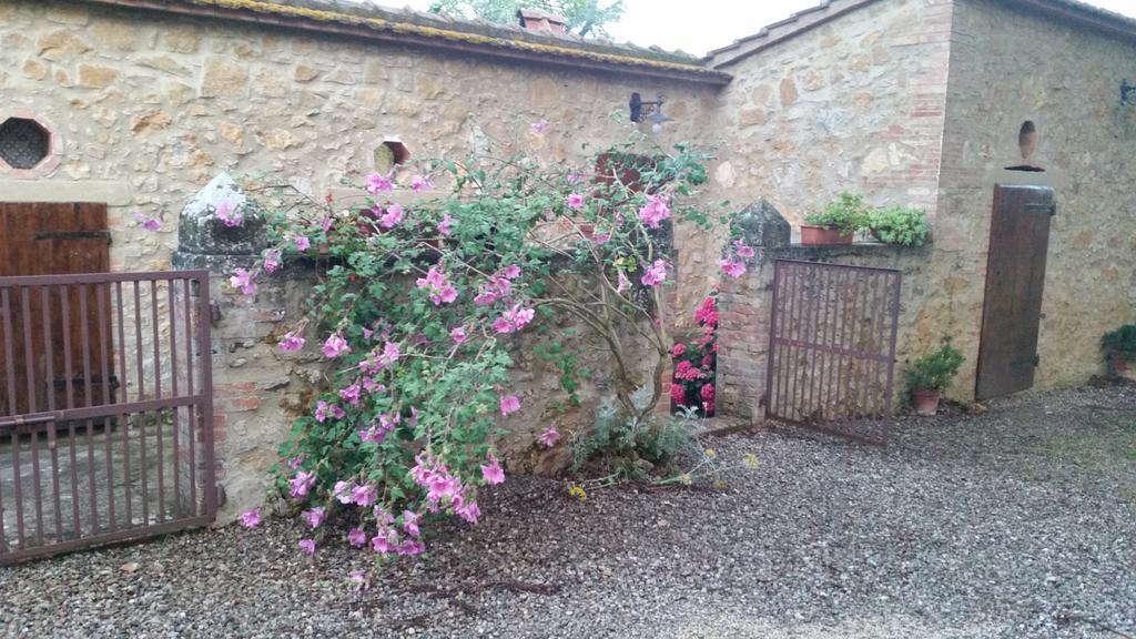 Agriturismo Torrenieri Da Alessandro Pienza Kültér fotó