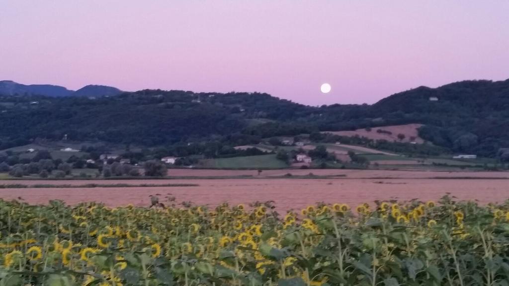 Agriturismo Torrenieri Da Alessandro Pienza Kültér fotó